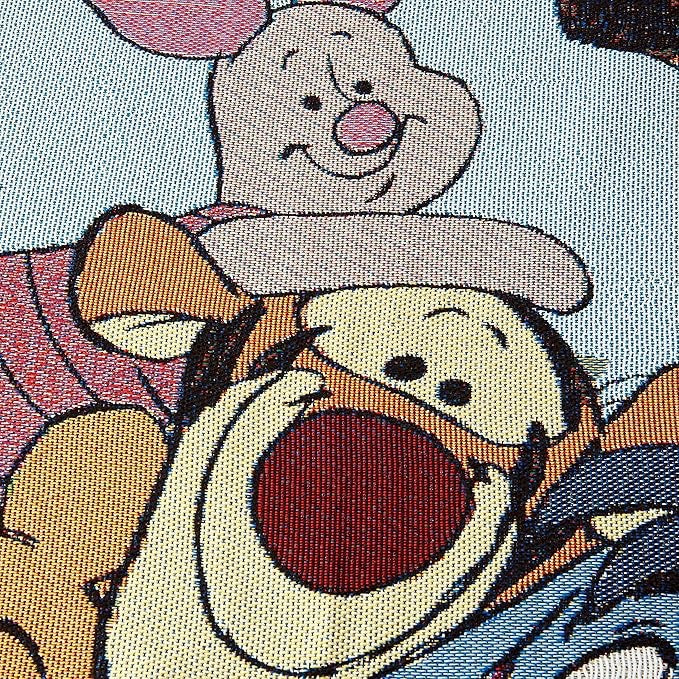 The Cozy Winnie Pooh Blanket